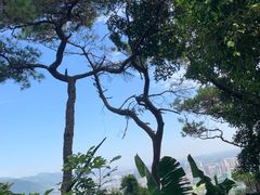-鼎湖山风景区