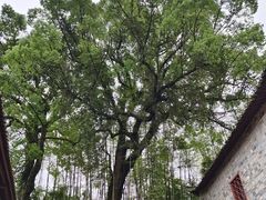 -井冈山风景名胜区