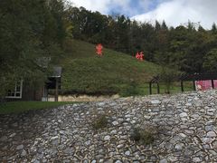 -云岭野山参风景区