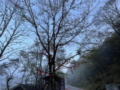 -大九湖