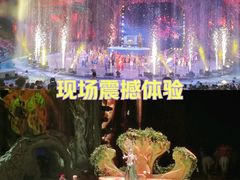 -广州长隆国际大马戏