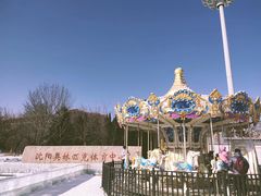-沈阳奥体冰雪嘉年华