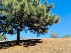 -北京西山国家森林公园