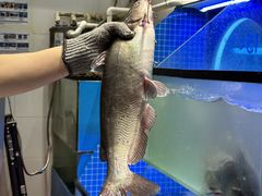 -鱼酷活鱼烤鱼(恒隆广场店)