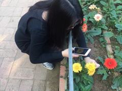 -广东茂名森林公园