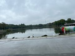 -苏州东太湖生态园