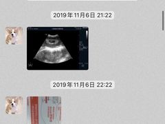-康成宠物医院24H·CT·核磁共振