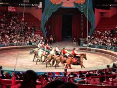 -俄罗斯国家大马戏团