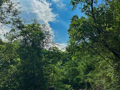 -广州白江湖森林公园