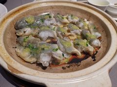 姜茸蒸天浪鱼-徐记海鲜(梅溪新天地店)