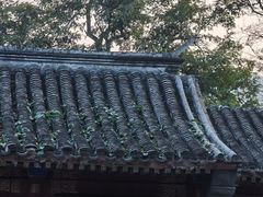 -香山公园