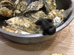 -爱蚝屋