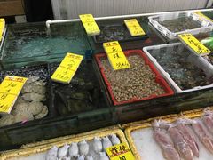 水产区-鸿达渔港