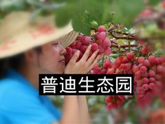 -普迪生态园