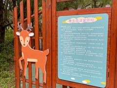 -东平国家森林公园