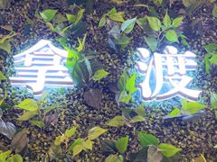 -拿渡·水煮鱼麻辣香锅(王府井奥莱·香江小镇店)