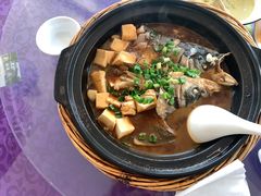 红烧鱼头豆腐-秋香鱼馆(世凹桃园店)