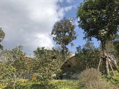 -凤翔首邑温泉度假村