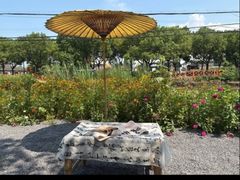 -丫丫蟹庄·苏式园林农家乐·阳澄湖大闸蟹(阳澄湖莲花岛店)