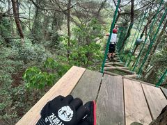 -芦仙山景区-飞越丛林探险乐园