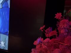 -黑桃K生日订制KTV