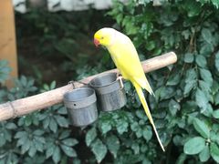 -南宫五洲植物乐园