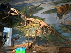 -自贡恐龙博物馆