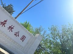 -红山国家森林公园