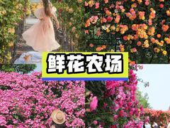 -上海山野camping·户外天幕烧烤·团建拓展营地