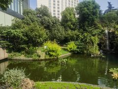 -上海虹桥宾馆味翠餐厅