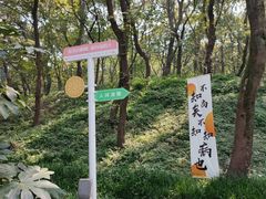 -句容茅山景区