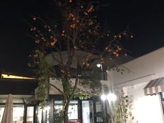 -素心小筑(后沙裕镇店)