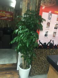 -川禾美发沙龙
