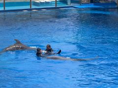 -北戴河圣蓝海洋公园