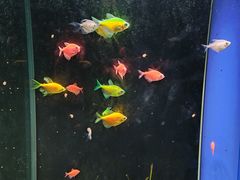 -欢乐海岸海洋奇梦馆
