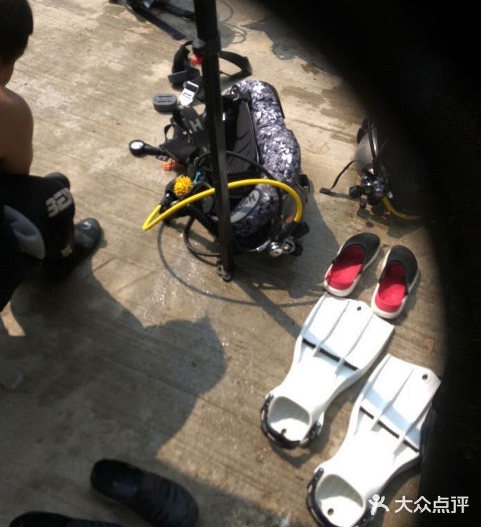 最受欢迎的潜水运动