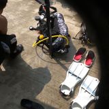 最受欢迎的潜水运动