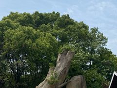 -宝岩生态观光园