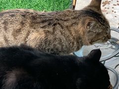 -UNIUNI(凯瑟琳广场店)