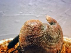 -云上千禾(水上店)