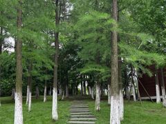 -瑶湖郊野森林公园