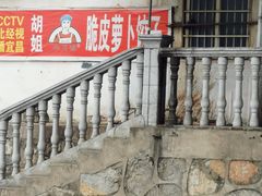 -半月镰胡姐脆皮萝卜饺子