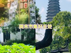-红梅公园