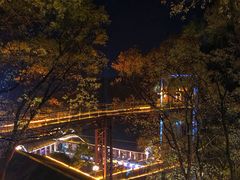 -巴倒烫陆派重庆火锅(南山店)