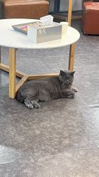 -飛凡TATTOO纹身•原创