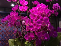 -LANN I 蘭 泰式古法按摩(徐家汇城开YOYO店)