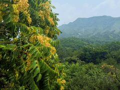 -紫荆关