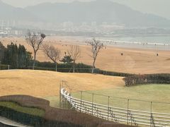 -青岛朗艺美术馆·海景咖啡