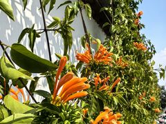-瑞丰园庭院餐厅·白族传统家常菜