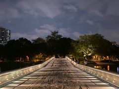 -荔湾湖公园